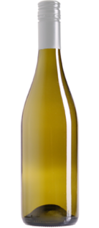 Sauvignon Blanc 